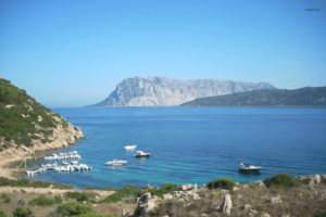 Sailboat Day Trip from Porto San Paolo (S.Teodoro-Olbia) to Tavolara, Molara